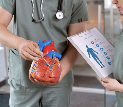 Эхокардиография, УЗИ сердца